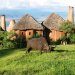 Ngorongoro crater lodge***** de Luxe