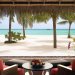 One&Only Reethi Rah***** de Luxe (North Male)