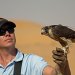 Private Falconry Experience